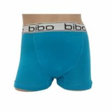 Трусы для мальчика Bibo боксеры р.104 голубой 24049