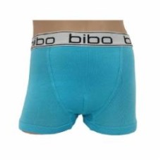 Трусы для мальчика Bibo боксеры р.80 бирюзовый 24050