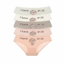 Трусы для девочки Donella 4171AN р.122-128 в ассортименте
