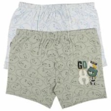 Трусы для мальчика Donella 75872GO р.110-116 в ассортименте
