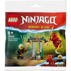 Конструктор LEGO NINJAGO Битва за Храм Кая и Раптона 30650