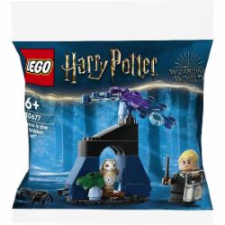 Конструктор LEGO Harry Potter Драко в Запретном лесу 30677