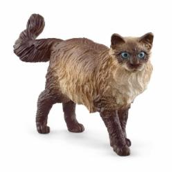 Фигурка Schleich Кошка Регдолл арт. 13940 6833836