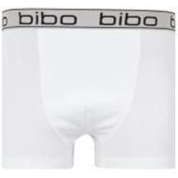 Трусы для мальчиков Bibo р.116 белый 24010