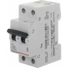 Автоматический выключатель Legrand RX3 4,5кА 50А 2Р C 419702