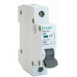 Автоматический выключатель Erste EB5-63 2P 25A тип С 6кА EB5-63 2P 25A