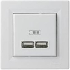 Розетка USB двойная Schneider Electric Asfora IP20 белый EPH2700221
