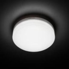 Светильник настенно-потолочный Luminaria 12 Вт белый 5000 К