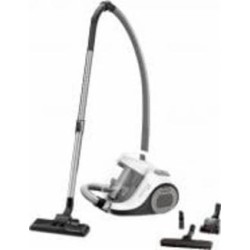 Пылесос Rowenta RO2957EA white