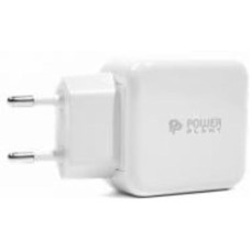 Сетевое зарядное устройство PowerPlant PowerPlant W-250