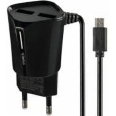 Сетевое зарядное устройство Gelius Pro Edition 2USB + USB кабель MicroUSB (2.4A) Черный