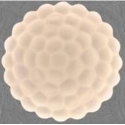 Светильник потолочный Focus Light 2*36W белый L8136-400