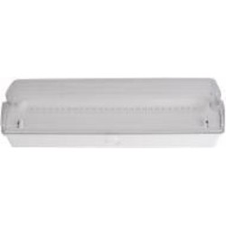 Светильник аварийный E.NEXT e.emerg.500L.led.M.3h.IP65, постоянный, 3 часа белый l0660041