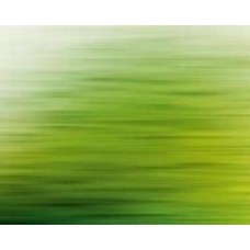 Обои виниловые на флизелиновой основе A.S. Creation The wall 38261-1 0,53x20,1 м