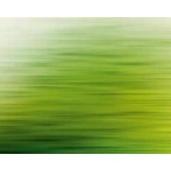 Обои виниловые на флизелиновой основе A.S. Creation The wall 38261-1 0,53x20,1 м