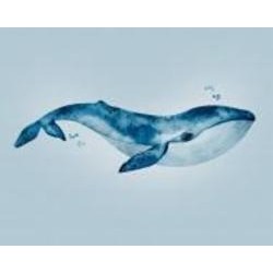 Обои виниловые на флизелиновой основе A.S. Creation The wall 38300-1 0,53x20,1 м