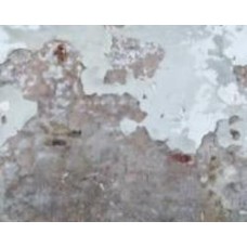 Обои виниловые на флизелиновой основе A.S. Creation The wall 2 39234-1 0,53x8,8 м