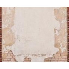 Обои виниловые на флизелиновой основе A.S. Creation The wall 2 39239-1 0,53x8,8 м