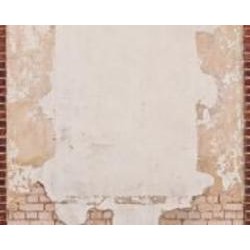 Обои виниловые на флизелиновой основе A.S. Creation The wall 2 39239-1 0,53x8,8 м