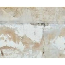 Обои виниловые на флизелиновой основе A.S. Creation The wall 2 39249-1 0,53x8,8 м