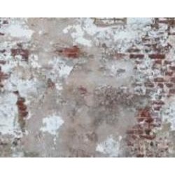 Обои виниловые на флизелиновой основе A.S. Creation The wall 2 39250-1 0,53x8,8 м