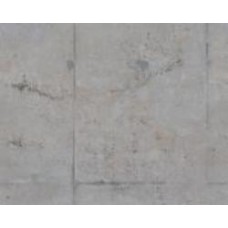 Обои виниловые на флизелиновой основе A.S. Creation The wall 2 39254-1 0,53x8,8 м