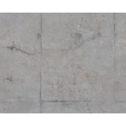 Обои виниловые на флизелиновой основе A.S. Creation The wall 2 39254-1 0,53x8,8 м