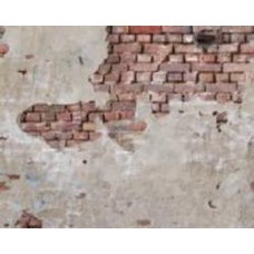 Обои виниловые на флизелиновой основе A.S. Creation The wall 2 39256-1 0,53x8,8 м