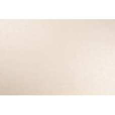 Обои виниловые горячего тиснения Vinil Готье СШТ 2-0967 1,06x10,05 м