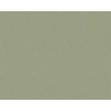 Обои виниловые на флизелиновой основе A.S. Creation Greenery mit Digital 36713-7 0,53x10,05 м