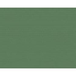 Обои виниловые на флизелиновой основе A.S. Creation Greenery 37211-1 0,53x10,05 м