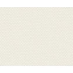 Обои виниловые на флизелиновой основе A.S. Creation Trendwall 37364-1 0,53x10,05 м