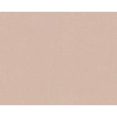Обои виниловые на флизелиновой основе A.S. Creation Trendwall 37272-6 0,53x10,05 м