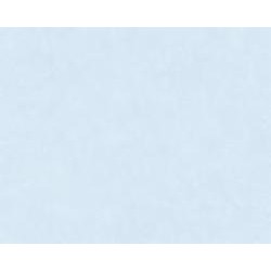 Обои виниловые на флизелиновой основе A.S. Creation History of Art 37656-4 0,53x10,05 м