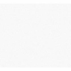 Обои виниловые на бумажной основе ADAWALL Anka 1609-1 1,06x15,6 м