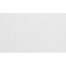 Обои виниловые горячего тиснения ASSORTI тип 773 935AS30 1,06x10,05 м