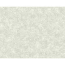 Обои виниловые на флизелиновой основе A.S. Creation Neue Bude 2.0 37428-2 0,53x10,05 м