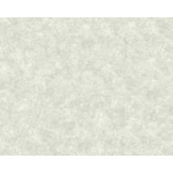 Обои виниловые на флизелиновой основе A.S. Creation Neue Bude 2.0 37428-2 0,53x10,05 м