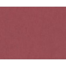 Обои виниловые на флизелиновой основе A.S. Creation Styleguide Design 2024 30646-7 0,53x10,05 м