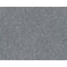 Обои виниловые на флизелиновой основе A.S. Creation Titanium 3 38203-1 0,53x10,05 м
