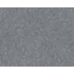 Обои виниловые на флизелиновой основе A.S. Creation Titanium 3 38203-1 0,53x10,05 м