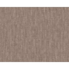 Обои виниловые на флизелиновой основе A.S. Creation Titanium 3 38205-4 0,53x10,05 м