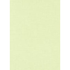 Обои виниловые на флизелиновой основе Erismann Paradisio 2 10140-35 0,53x10,05 м