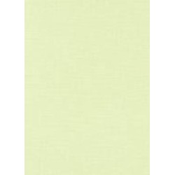 Обои виниловые на флизелиновой основе Erismann Paradisio 2 10140-35 0,53x10,05 м