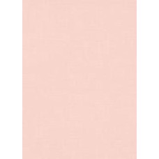 Обои виниловые на флизелиновой основе Erismann Paradisio 2 10140-05 0,53x10,05 м