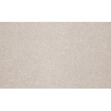 Обои виниловые на флизелиновой основе Bravo SIMPLE SP502-03 1,06x10,05 м