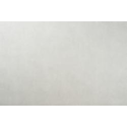 Обои виниловые на флизелиновой основе Vinil Рима VIP 4-1237 1,06x10,05 м