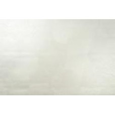 Обои виниловые на флизелиновой основе Vinil Пума ЭШТ 1-1467 1,06x10,05 м