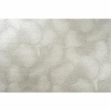 Обои виниловые на флизелиновой основе Vinil Пума ЭШТ 6-1467 1,06x10,05 м