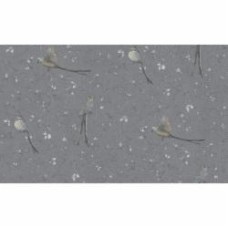 Обои виниловые на флизелиновой основе A.S. Creation Birds 38222-7 1,06x10,05 м